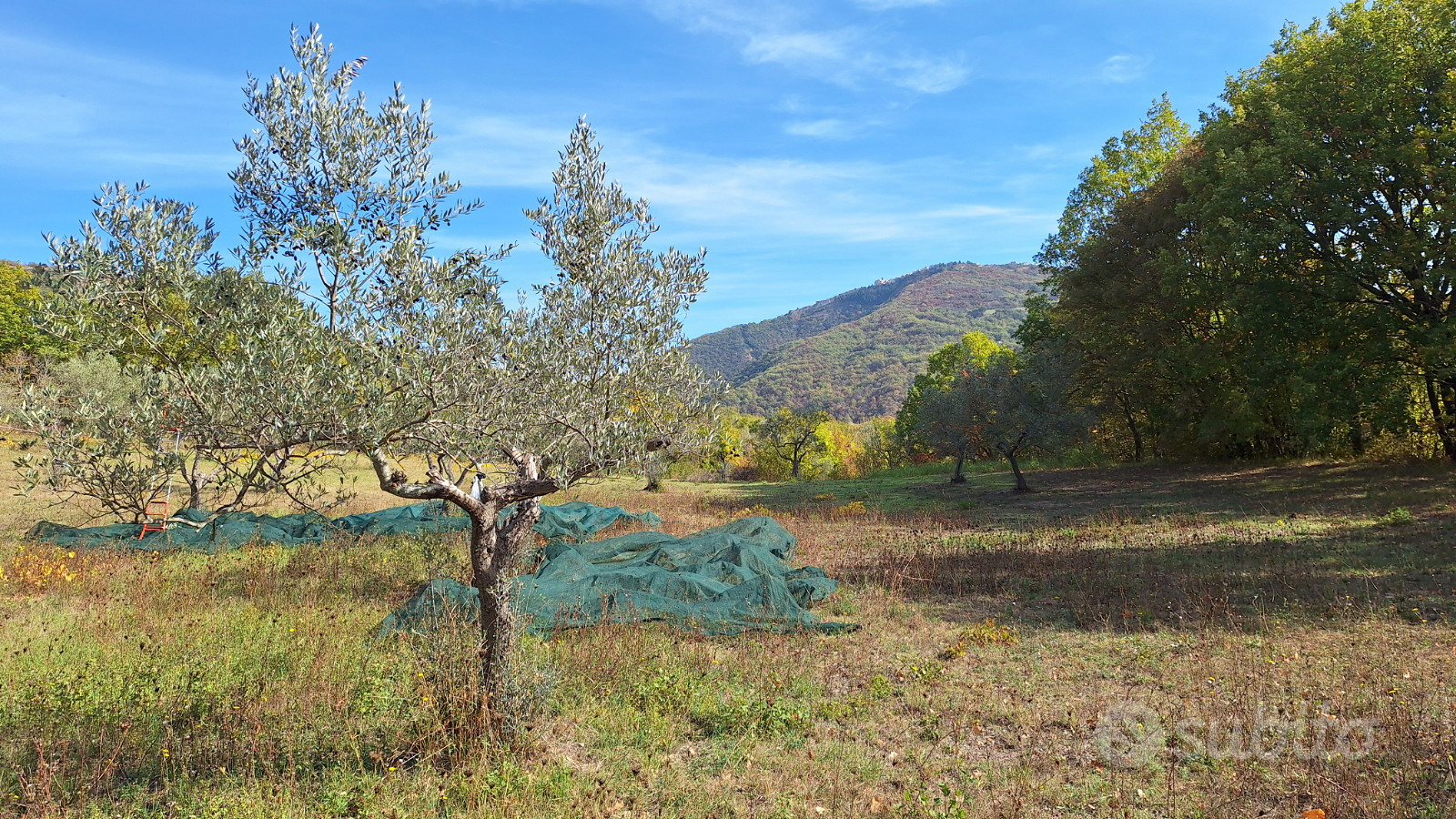 Terreno pianeggiante, da valutare fotovoltaico - Vista 3