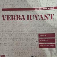 verba iuvant grammatica (9788838339370)