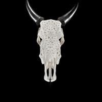 teschio inciso indonesiano 