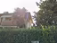 Immagine 7