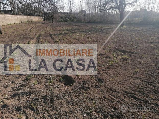 GIUGLIANO , LOTTO DI TERRENO AGRICOLO 1000