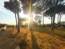rif-4-villa-unifamiliare-e-terreno-castel-gandolfo