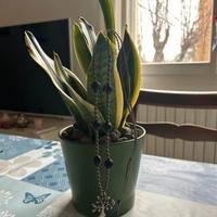 Collana fatta a mano in Macramé