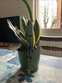 Collana fatta a mano in Macramé