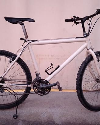 MTB ruote da 26
