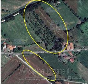 Appartamento Torrita di Siena [A4352036]