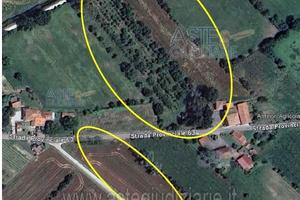 Appartamento Torrita di Siena [A4352036]