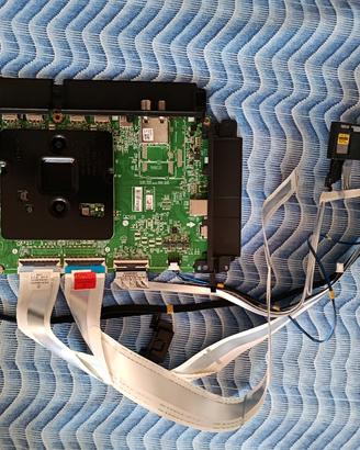 Schede TV Lg QNED55826RE