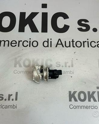 Valvola EGR Citroen, Peugeot, Fiat, Ford