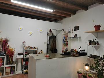 Locale commerciale 33 mq