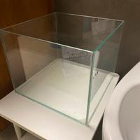 Vasca in vetro-acquario