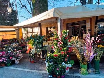 Vendesi negozio di piante e fiori