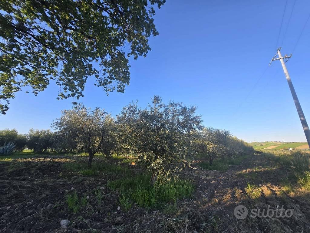 Terreno di 56000 m² a Larino - Vista 4