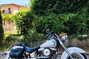 Harley Davidson