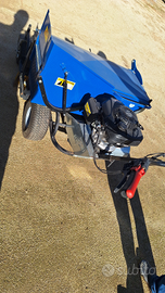 Raccoglitrice olive e frutto