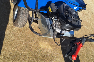 Raccoglitrice olive e frutto