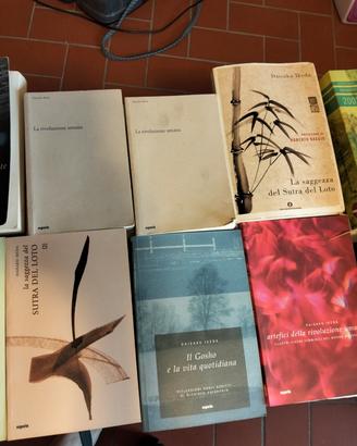 Daisaku Ikeda compendio libri usati 