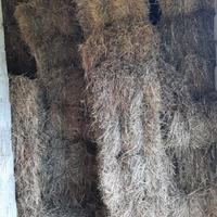 Ballette di fieno di prato anno 2025