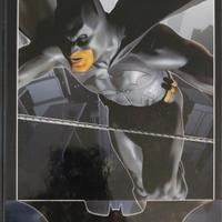 Diario Batman Begins - Nuovo 