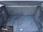 Immagine 19