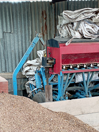 Siderman seminatrice