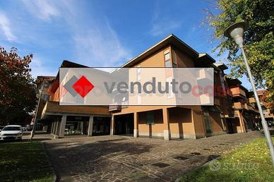 Appartamento Trezzo sull'Adda [4loctrezVRG]