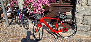 Specialized Parigi Roubaix 