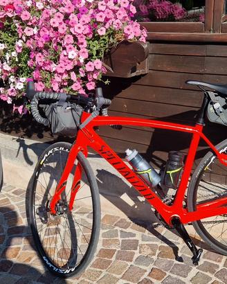 Specialized Parigi Roubaix 