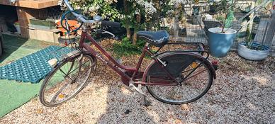bicicletta 