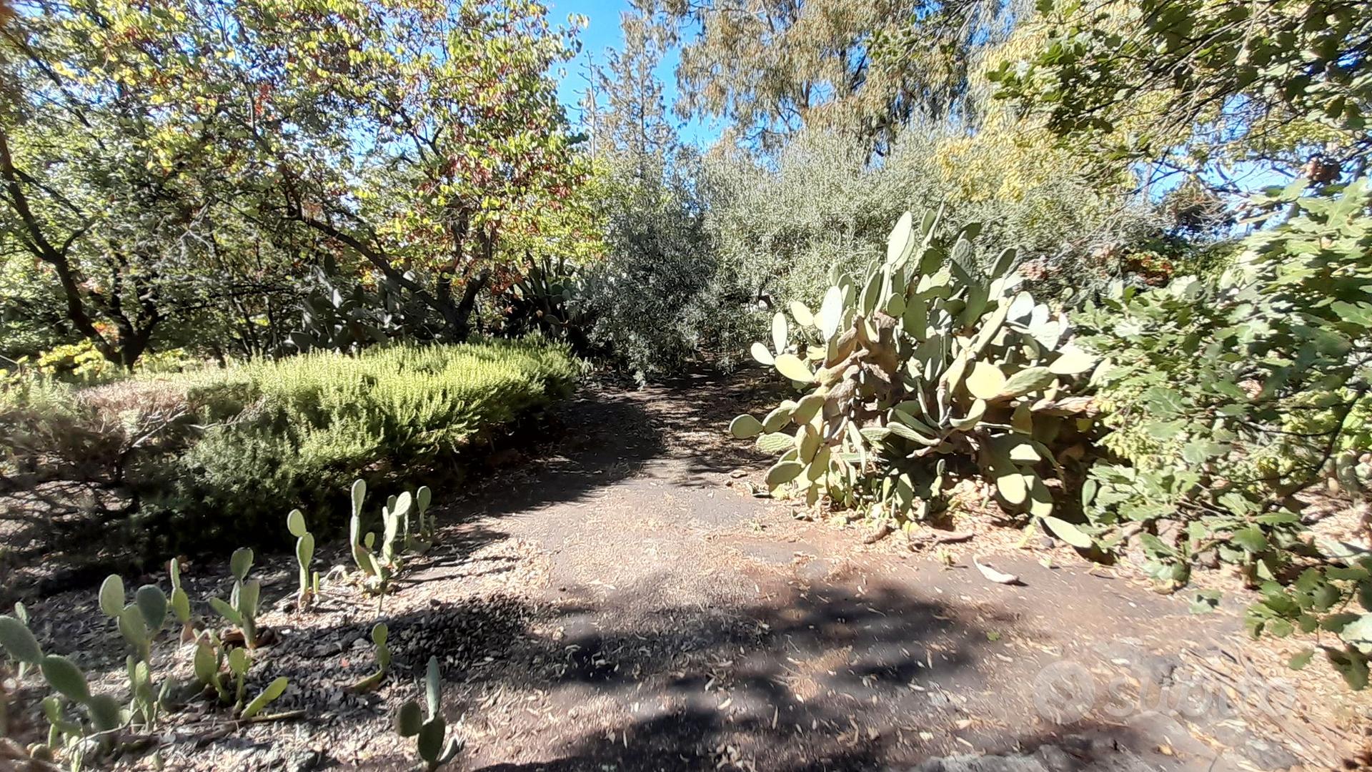 TERRENO 2805 mq con rudere 12 mq a Belpasso - Altro