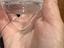 Immagine 3