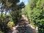 Immagine 26