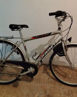 Bici uomo 29