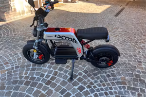 I scooter elettrico