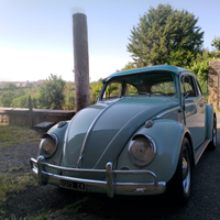Maggiolino
