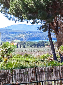 Immobile con giardino