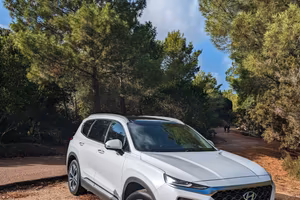 Hyundai Santa Fe 2.2 CRDi 4WD Automatica Panorama 