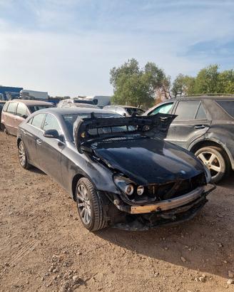 Ricambi Mercedes CLS C219