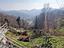 Immagine 28