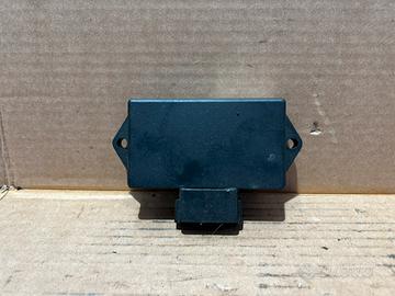 Centralina Originale Harley Davidson XL 1200