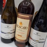 cantine paolini 3bt