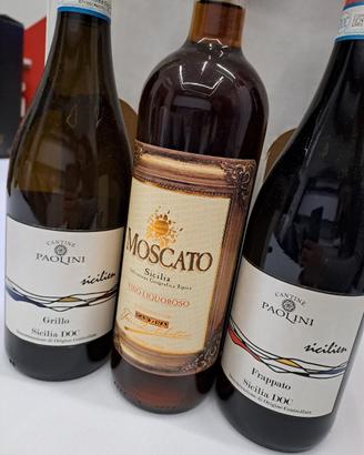 cantine paolini 3bt