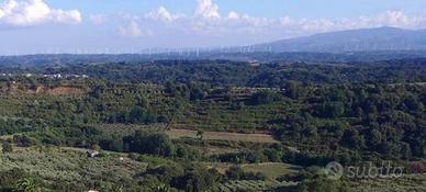 Rif.RI505| area edificabile pianopoli