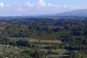 Rif.RI505| area edificabile pianopoli