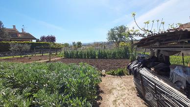 Terreno edificabile ed agricolo