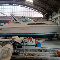 Sea Ray 270