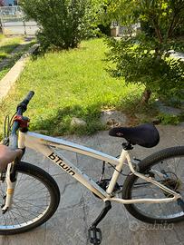 Bici bitwin