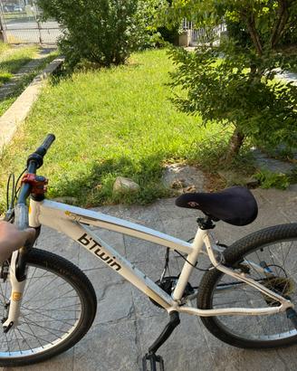 Bici bitwin