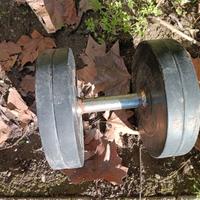 solo pesi o manubri interi