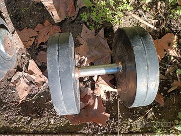 solo pesi o manubri interi